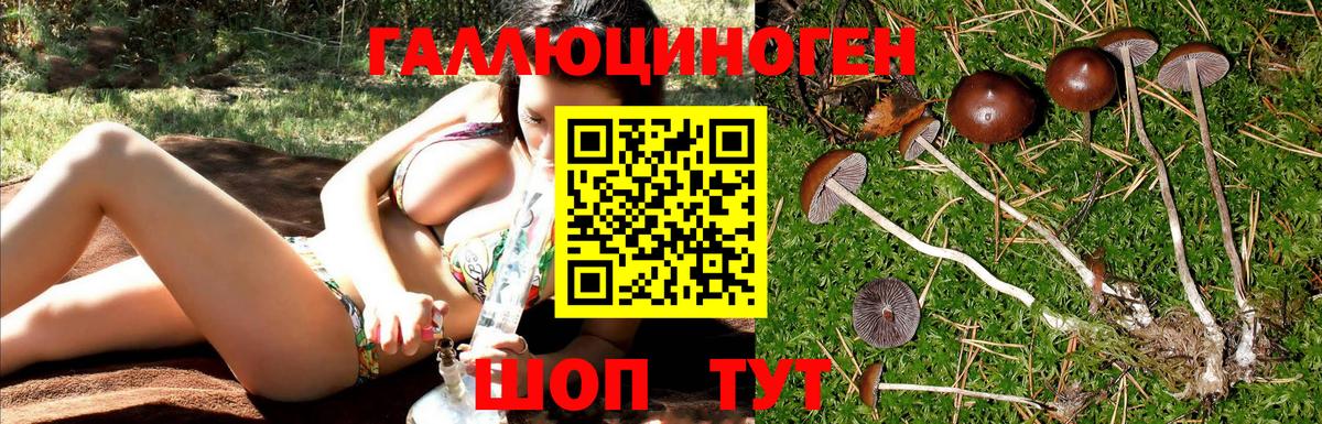 Видное  Галлюциногенные грибы прущие грибы  магазин  наркотиков  Галлюциногенные грибы GOLDEN TEACHER  Вход с VPN 
